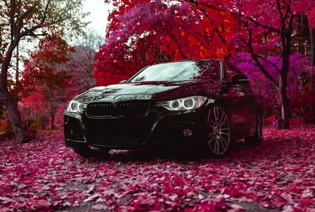 BMW Série 3 F30 noire dans une forêt d'arbres aux feuilles roses