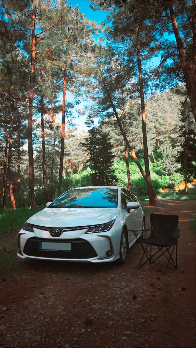 Avant de Toyota Corolla blanche dans une forêt