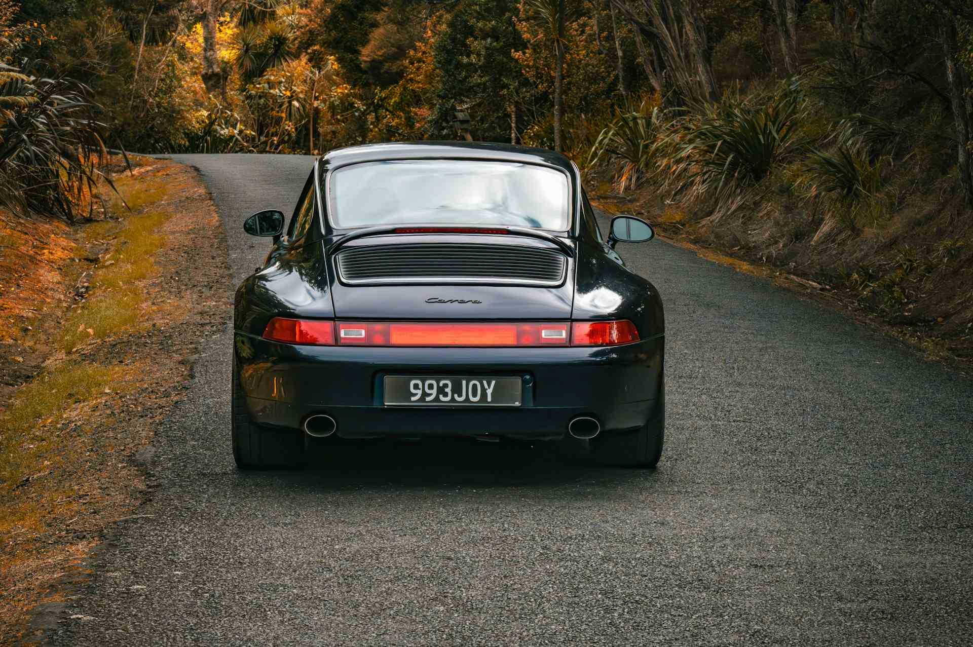 Porsche 993 noire arrière dans un bois